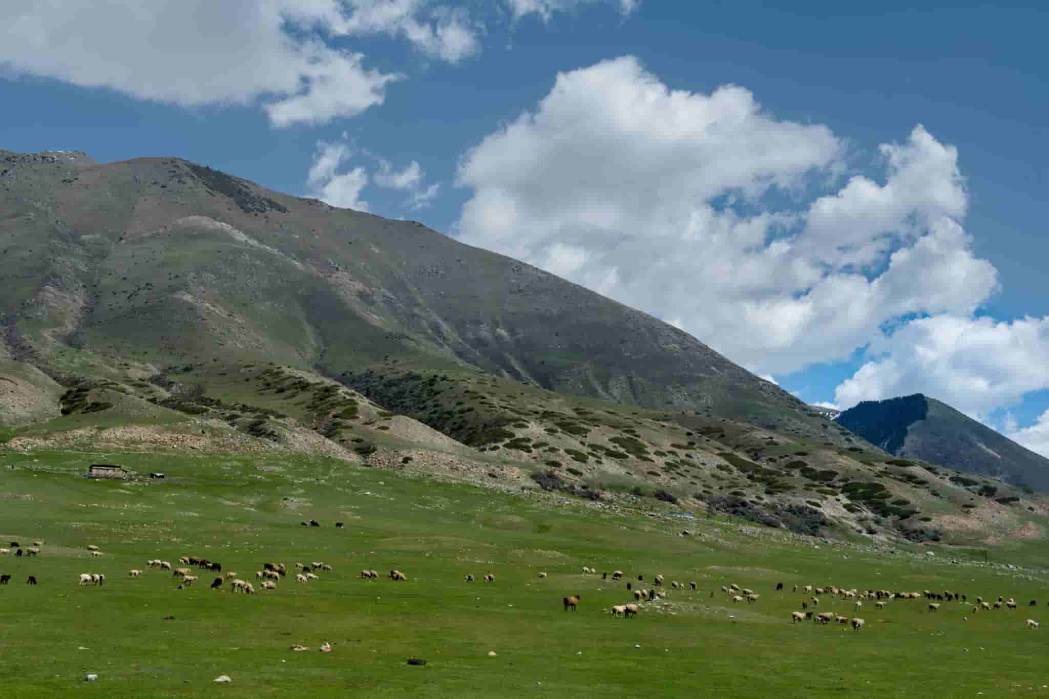 Kochkor-Ata